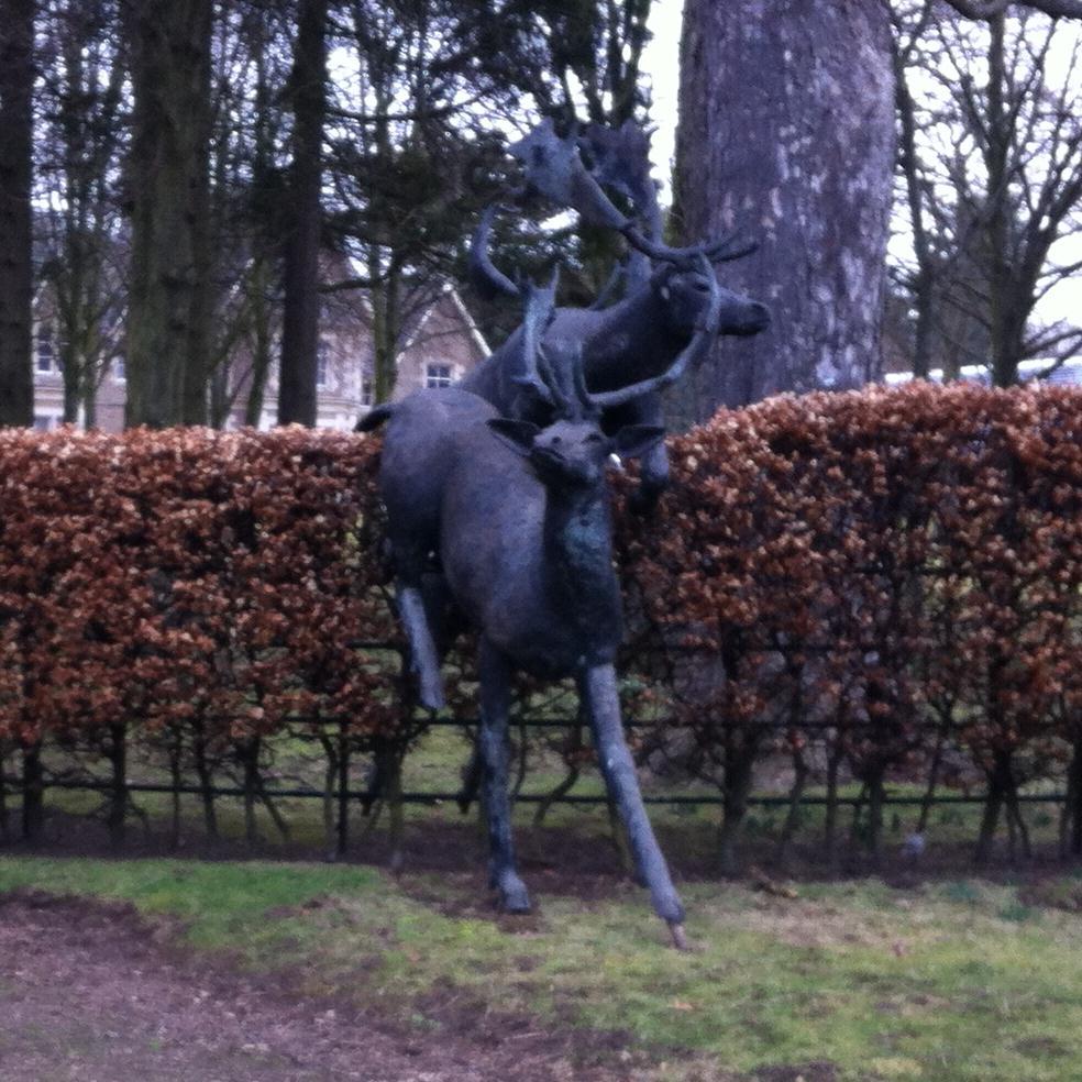 Offering nordic walking tasters, technique courses and regular walks in the magnificent woodland areas, parks and local greenspaces of Tayside.