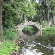 nolaparksforall's profile picture. 