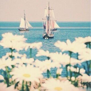 Instagram:emtenan.1417