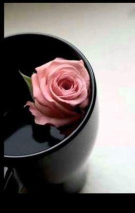 ﺳﻮﻑ ﻳﺄﺗﻲ ﻳﻮﻡ ﻻ ﺃﻛﻮﻥ ﻣﻌﻜﻢ ﻭﺳﻮﻑ ﺗﺪﺧﻠﻮﻥ ﻟﺘﻘﺮﺃﻭﺍ ﻣﺎ ﻛﺘﺒﺖ ﻓﺈﻥ ﻭﺟﺪﺗﻢ ﻣﺎ ﻳﺆﺟﺮﻧﻲ ﺃﻧﺸﺮﻭﻩ ﻭﺇﻥ ﻭﺟﺪﺗﻢ ﻣﺎ ﻳﺆﺛﻤﻨﻲ ﺃﺗﺮﻛﻮﻩ..