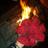 9amte's profile image