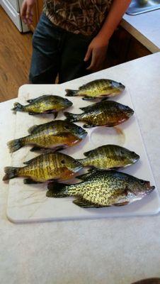 GrandyReid's profile picture. 