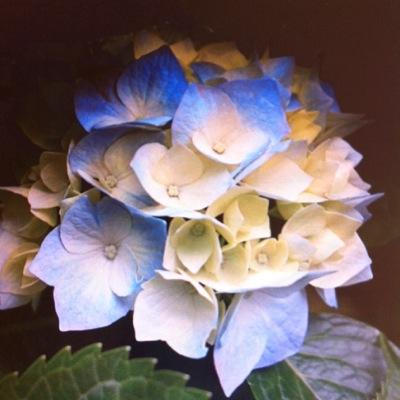 w_montesano's profile picture. 