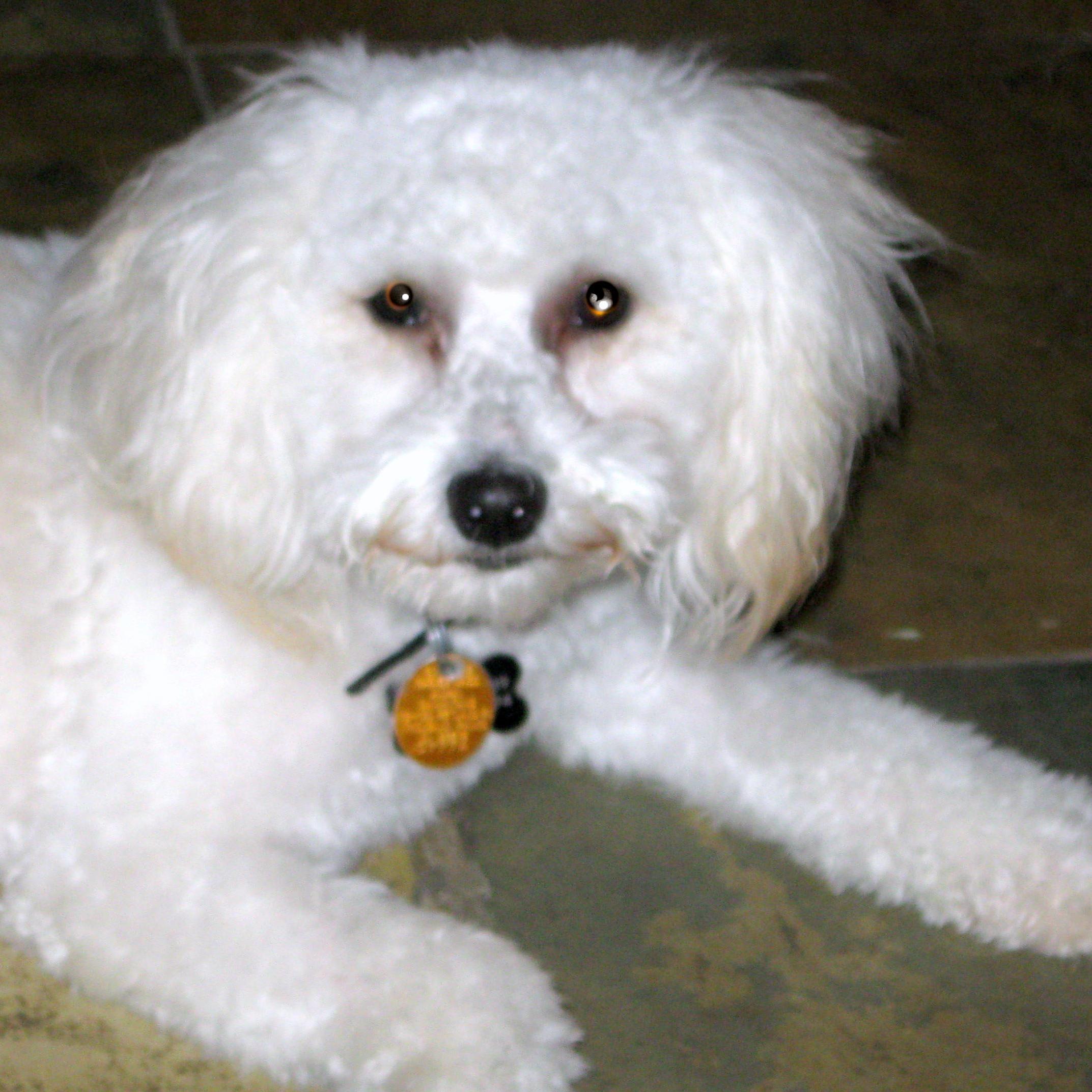 Boby1234Y's profile picture. 