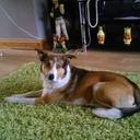 declan hill - @HillDeclan - Twitter