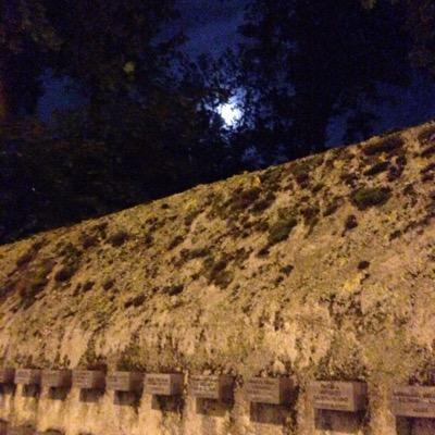 ldionysia's profile picture. Ler, respirar, ler, respirar, ler, respirar