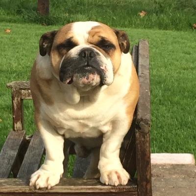 kbutcherleyden4's profile picture. 