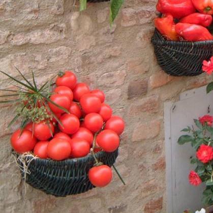 recipeworldwide's profile picture. Food Recipes, Cooking