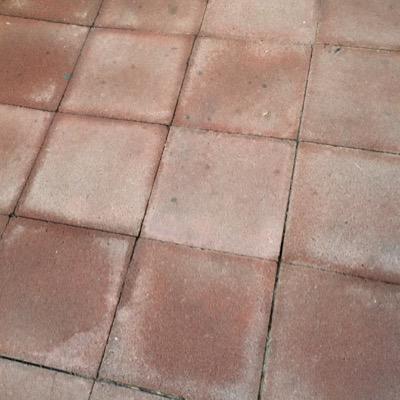 thatgirl1234565's profile picture. My blood type is starbucks ❤