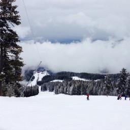 CharlieThomson2's profile picture. 