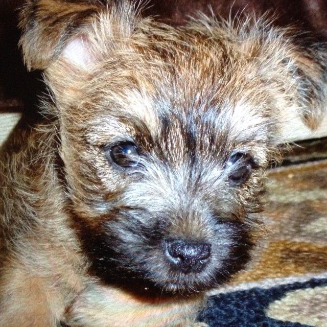 Erica_Fitz's profile picture. 