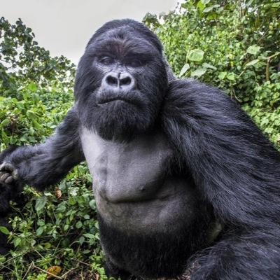 GoryachevViktor's profile picture. экономлю энергию