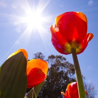 smartcard17's profile picture. 