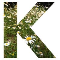Kels (@khandsahan) 's Twitter Profile