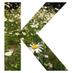 Kels (@khandsahan) Twitter profile photo Kels (@khandsahan) Twitter profile photo