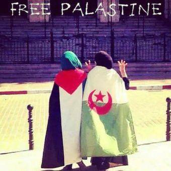 مّن لُايرانُي نوِراَ فِي عَينيہٰ لنّ ُاراﻫُ الﺂ ترآبا تحت قدمَ افتخر اني من ارض الشهداء الجزائر وعشقي الابدي    فلسطين ان مررتم من هنا..اذكروني بدعوة الخاص مهمل