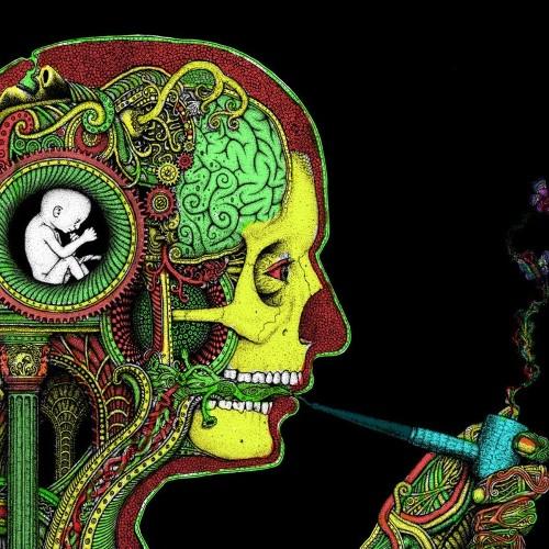 Stoner_Physics's profile picture. 