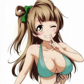 ことりちゃん大好きなラブライバーです！ 皆さんフォローお願いします‼︎ 東京ドームは落選でした涙