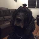 Fiona Marshall - @f_marshall79 - Twitter