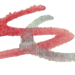 Serra_Cavalls's profile picture. Bodega DO Terra Alta con más de 15 años de experiencia en la recolección y elaboración de vinos. #TerraAlta #DOTerraAlta #Vi #Vinos #Wine #WineLovers