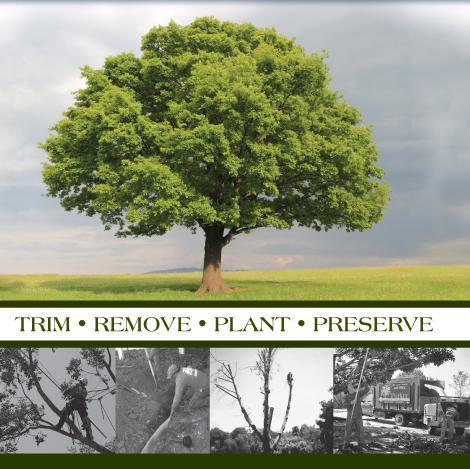 TreemendUServ's profile picture. 