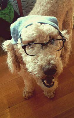 Trees are grey, 
the sky is a different shade of grey,
I'm a dog and I'm also a shade of grey.