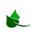 JR Garden Services (@bisphamgardener) Twitter profile photo JR Garden Services (@bisphamgardener) Twitter profile photo