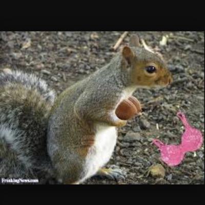 Who am I? That's one secret I'll never tell. You know you love me. XOXO Gossip Squirrel. DM your latest gossip Pembroke.