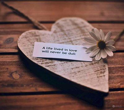 ahmedeyad14's profile picture. 