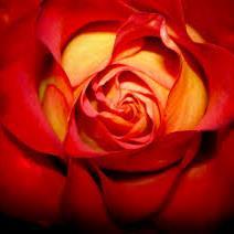 Geskenach's profile picture. Actively retired and open to explore new horizons and keep healthy naturally.