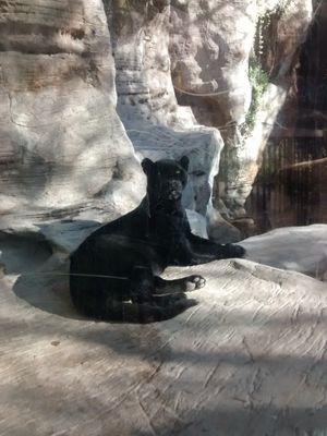 sialhe04's profile picture. 