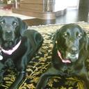 Nicole Ryerson - @77c982c0b1eb465 - Twitter