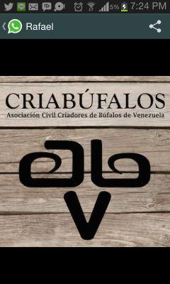 Asociación de Criadores de Búfalos de Venezuela