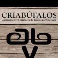 Criabufalos  (@criabufalosve) 's Twitter Profile