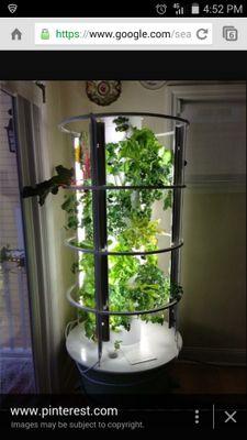 Tower Garden is a state of the art vertical aeroponic growing system. Its perfect for rooftops, patios, anywhere! 
visit us
http://t.co/ovii6KFYxN