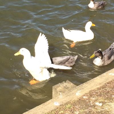 EnviroCat1's profile picture. 