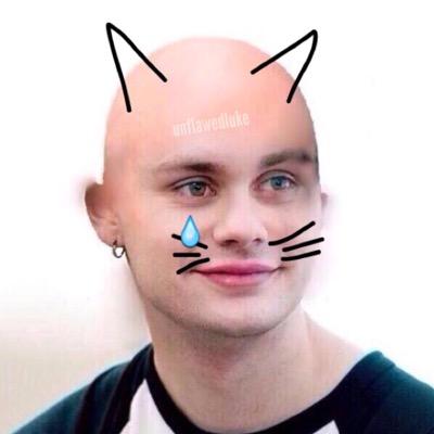 baldkittenmgc's profile picture. @DRXPDEADLRH