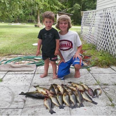 LeeHurst75's profile picture. 