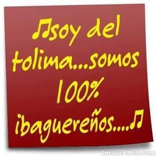 Holo !!.✌
