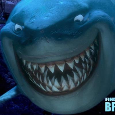 unionrep500's profile picture. union rep, tony stewart/steelers fan, diehard democrat, music fan, beatles, metallica/judas priest/zz top/dio/rush. OPINIONS ARE MINE. MOST PPL DONT LIKE THEM.