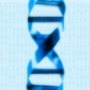 Outpouring of thoughts on science, junk science and pseudoscience