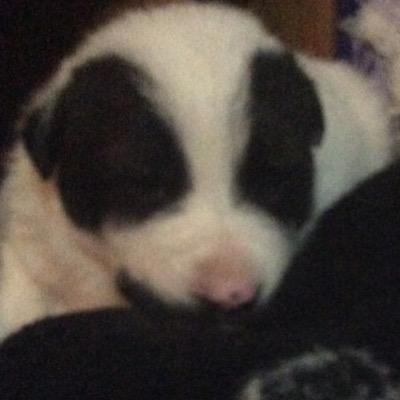 Profile Picture of Kaitlyn Ann Mossett (@KMossett) on Twitter