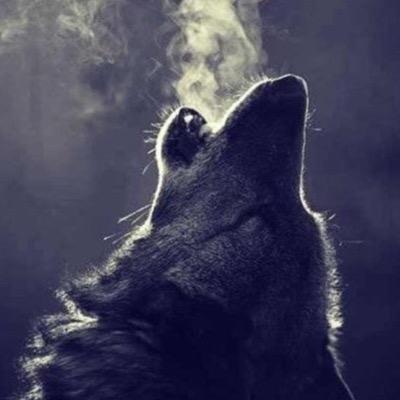 От нерешительности теряешь больше, чем от неверно принятого решения.