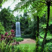 Atherton Tablelands (@ath_tablelands) Twitter profile photo