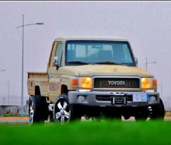 نصب - رفع - تطعيس .