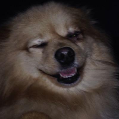 Michellenoble17's profile picture. 