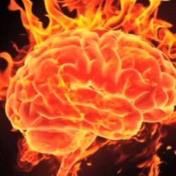 • Spreading awareness of an Autoimmune Neurological illness; Anti-NMDA Receptor Encephalitis •