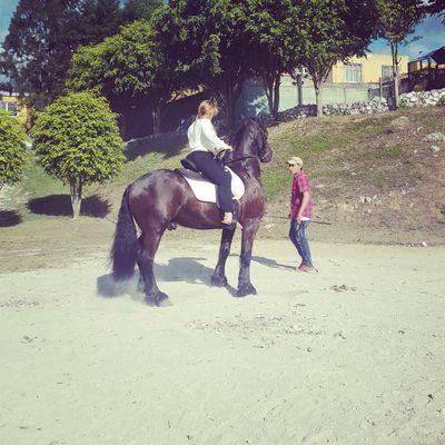 instagram  Daysidl_