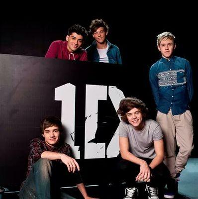 1D boys? I wanted to mention that I will always be with you, you sing the kind of music I like, you are funny, you are humble, you are beautiful and many things