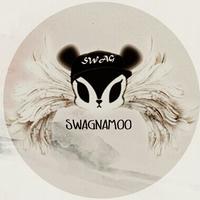SWAGNAMOO (@swagnamoo_dc) 's Twitter Profile
